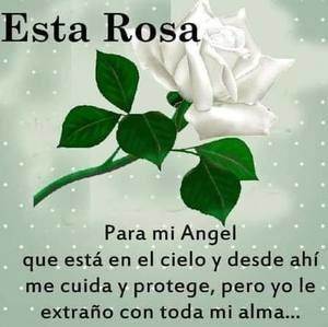 Meet your Posher, Rossy